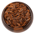 بزر شمس مدخن